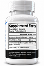 L-Theanine supplement facts label